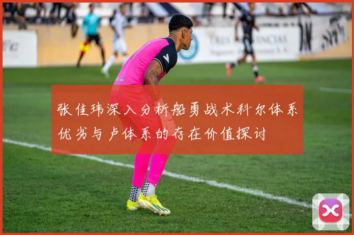 张佳玮深入分析船勇战术科尔体系优劣与卢体系的存在价值探讨