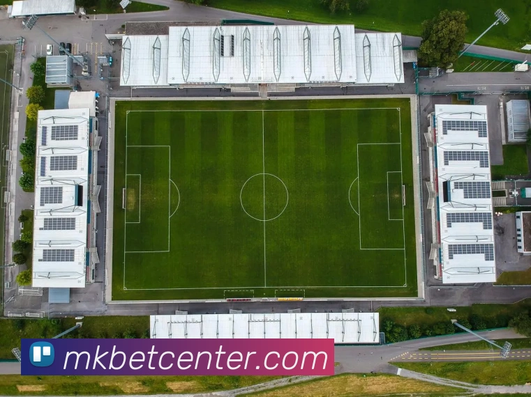 多媒体互动体验