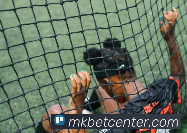 MK体育APP 体育赛事宣传图